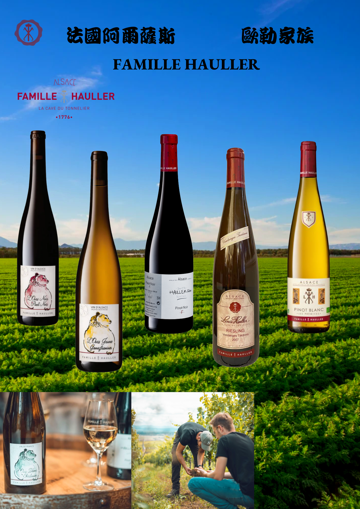 Alsatian wines set of 5 bottles