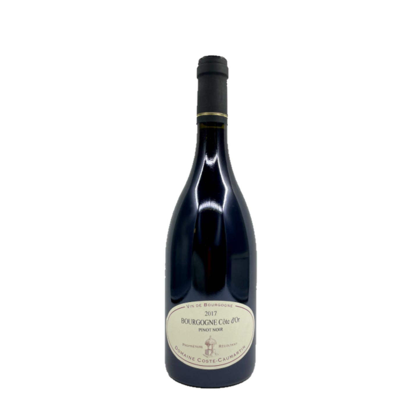 Coste Caumartin Bourgogne Cote d'Or rouge 2021